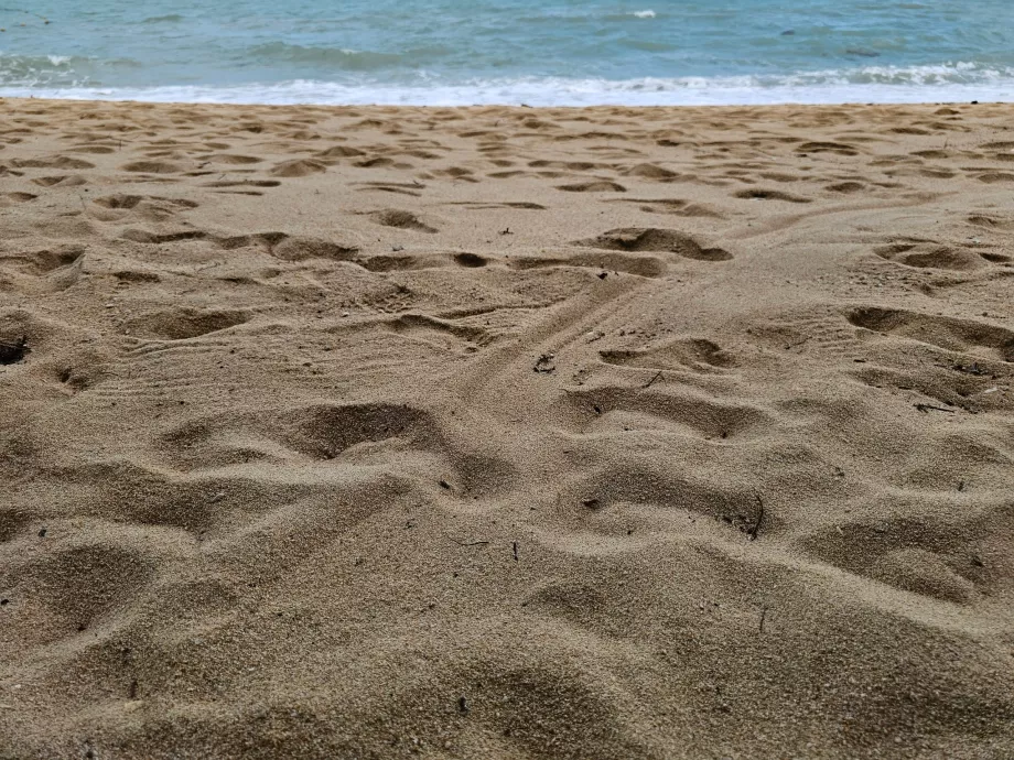 Pasir yang lebih kasar di pantai hotel