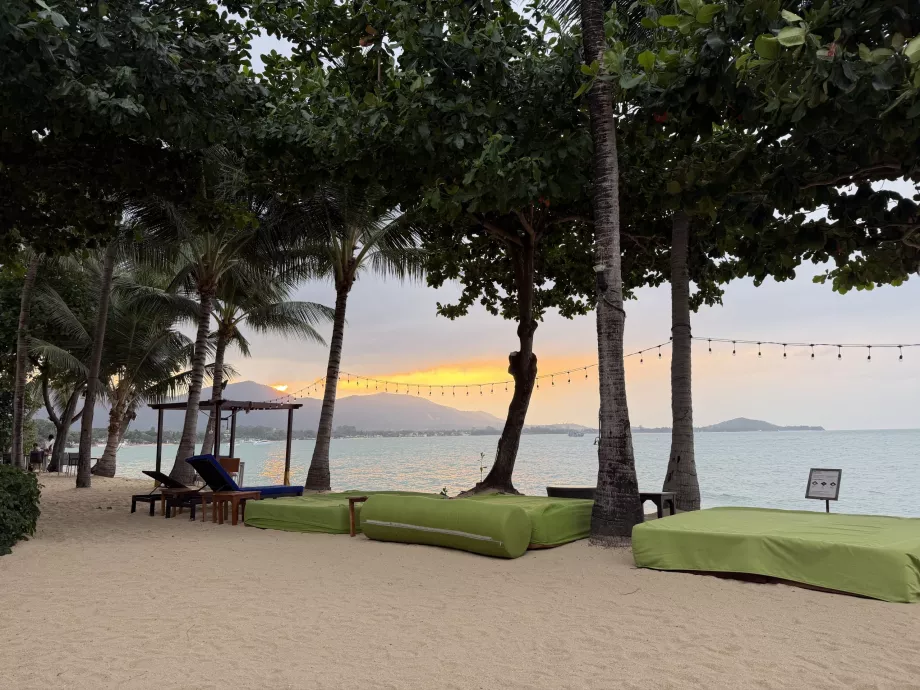 Pantai hotel dengan kursi berjemur saat matahari terbenam