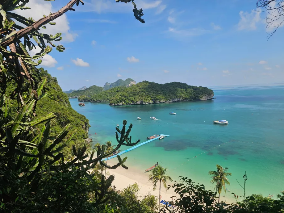 Menelusuri jalan setapak menuju sudut pandang tertinggi