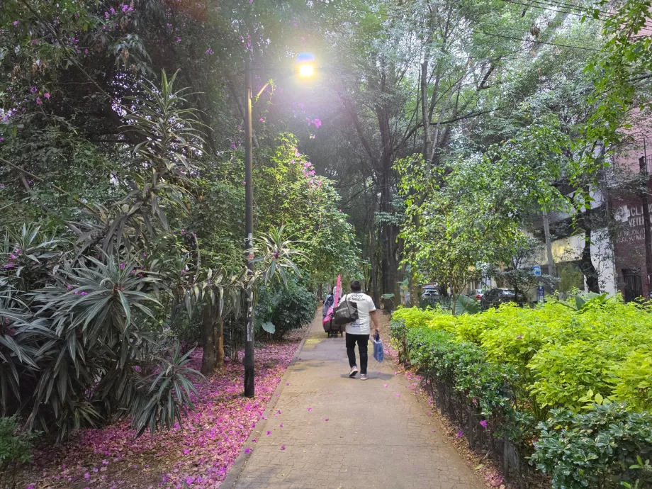 Seperempat dari Condesa