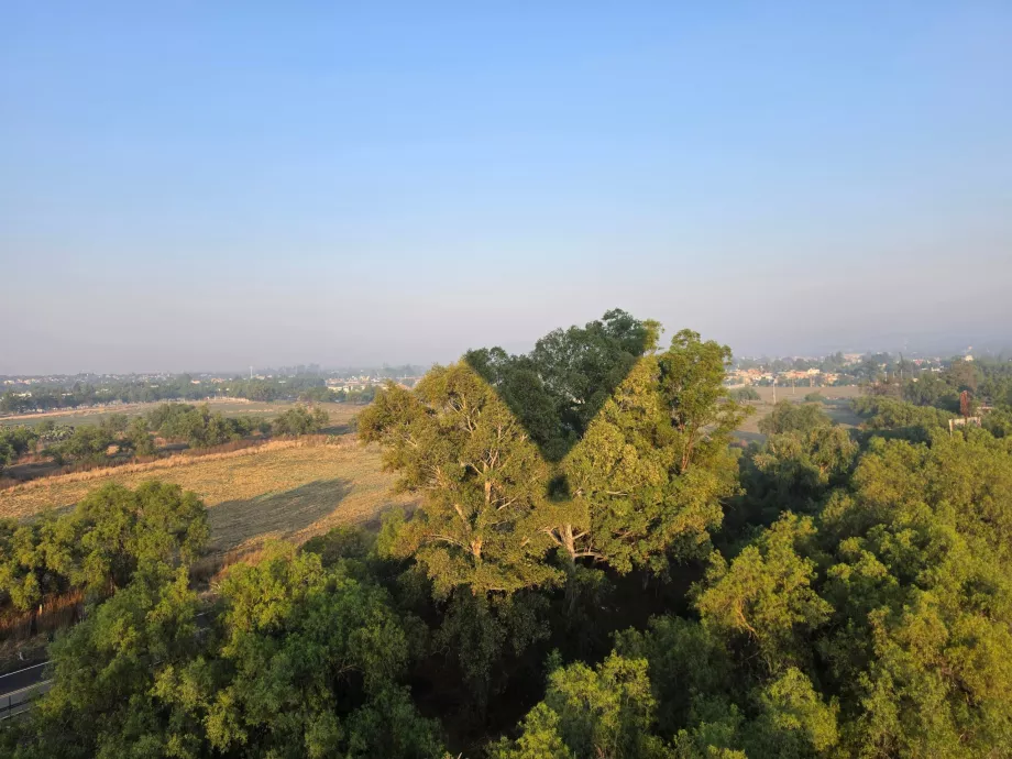 Penerbangan di atas puncak pohon