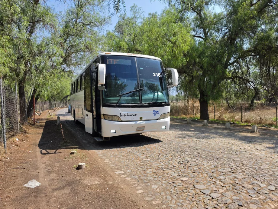 Bus Teotihuacan <-> Mexico City