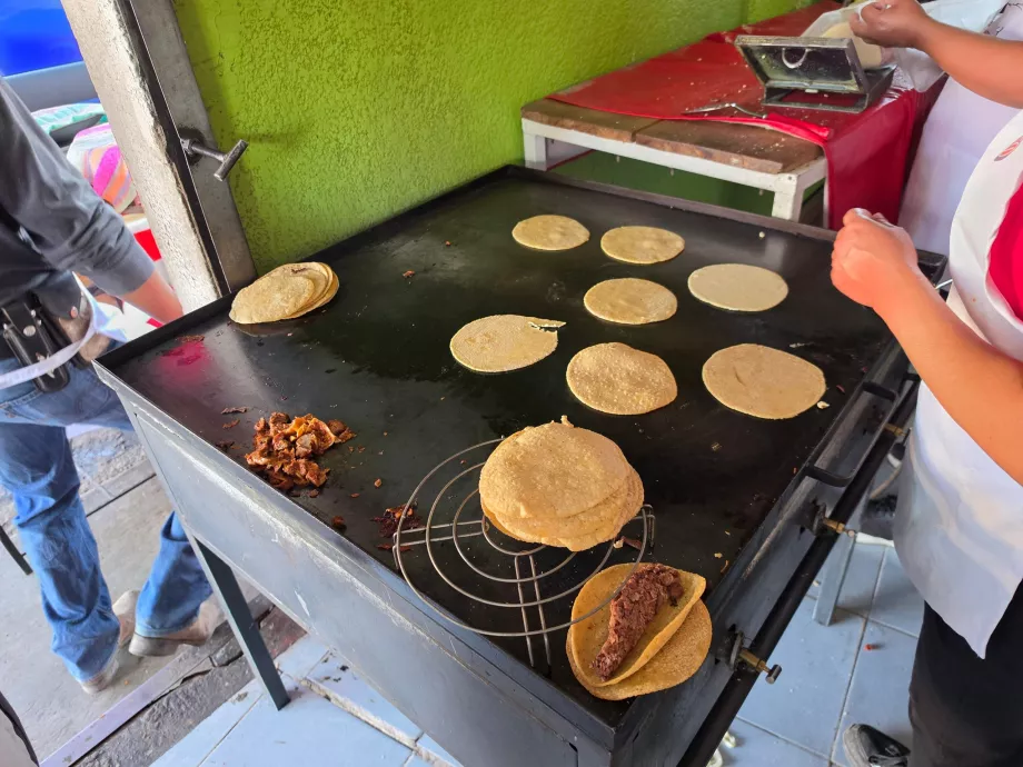 Berhenti untuk menikmati taco barbacoa