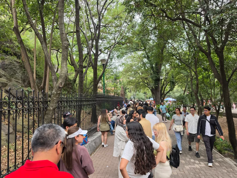 Kastil Chapultepec, antrian untuk masuk