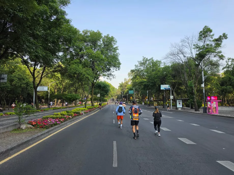 Lari pagi hari Minggu di Mexico City