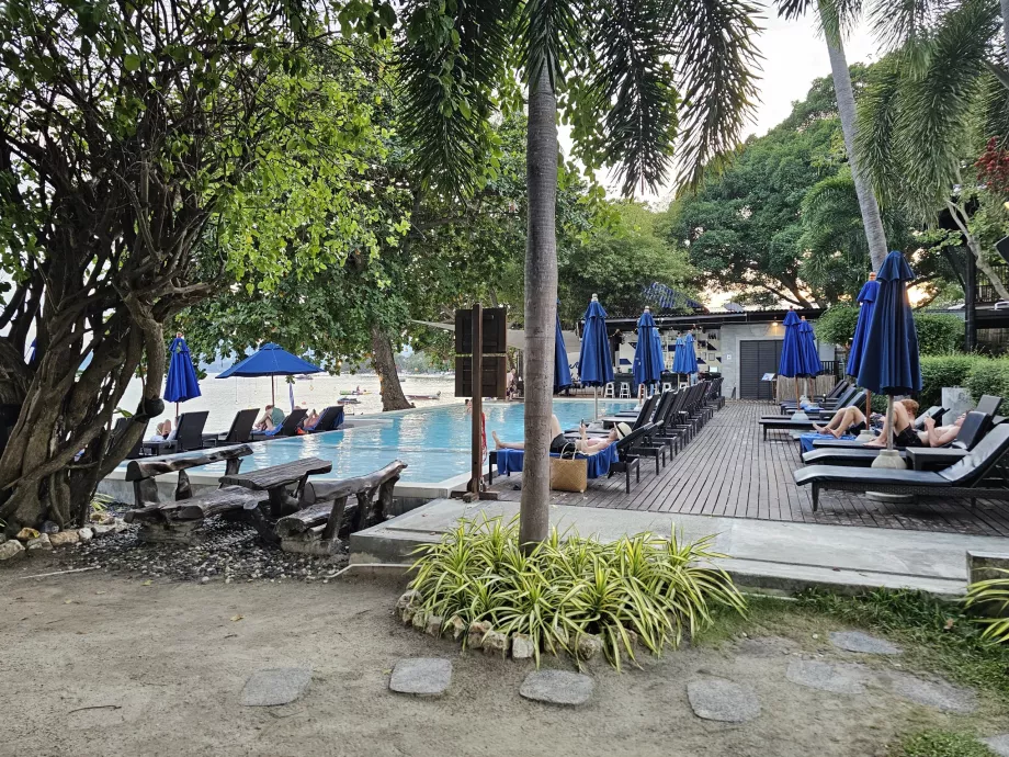 Kolam renang dengan kursi berjemur