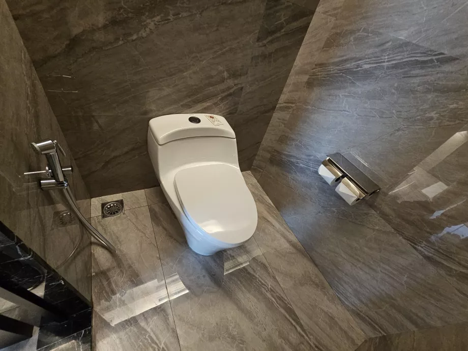 Toilet dengan shower bidet