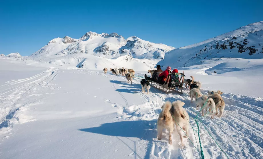Kereta luncur anjing Greenland