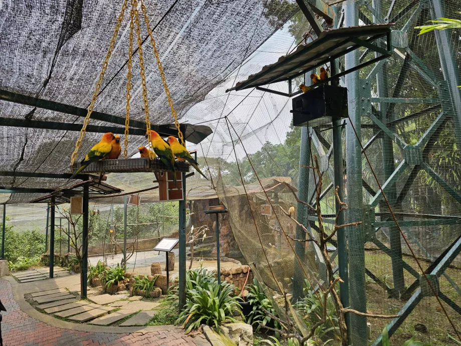 Taman Burung