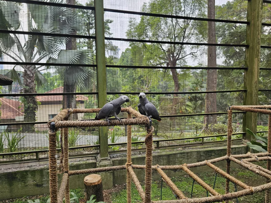 Taman Burung