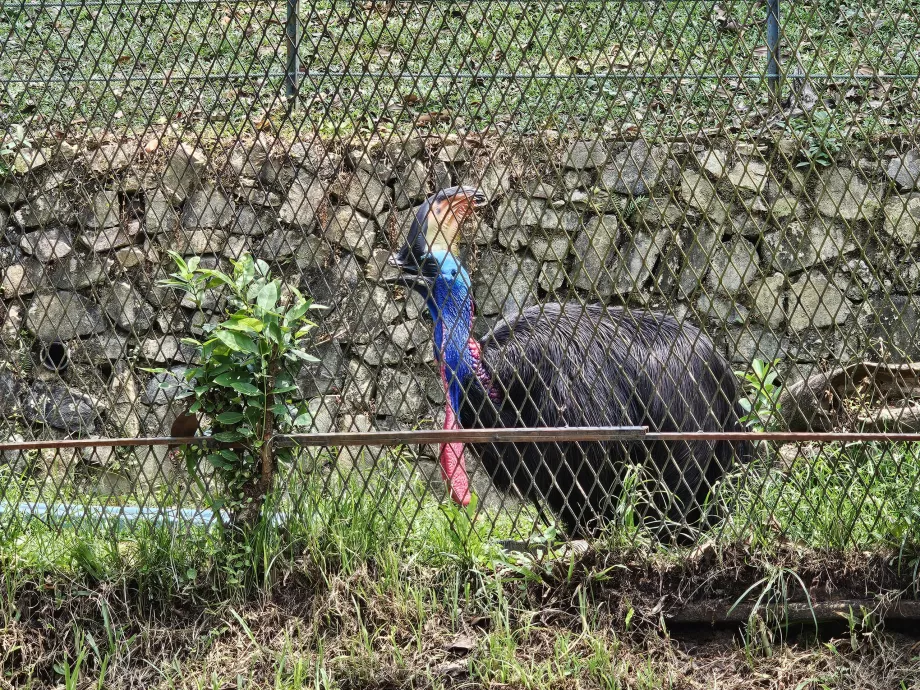 Taman Burung