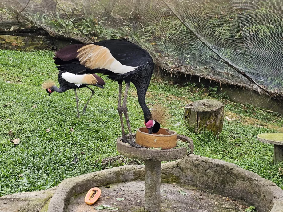Taman Burung