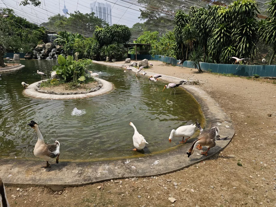 Taman Burung