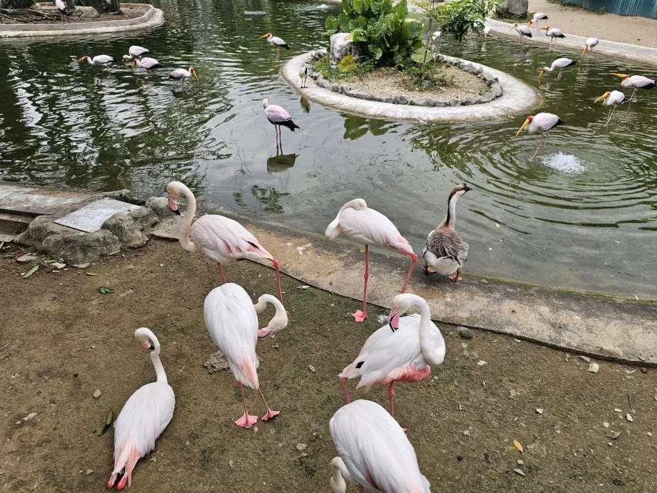 Taman Burung