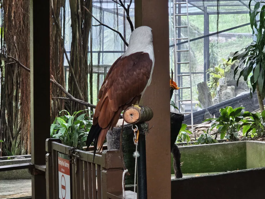 Taman Burung