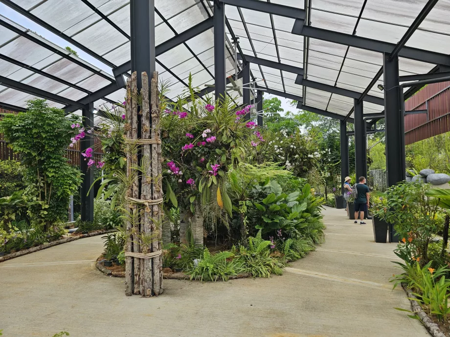 Taman anggrek