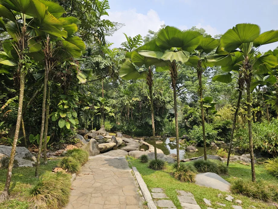 Kebun raya