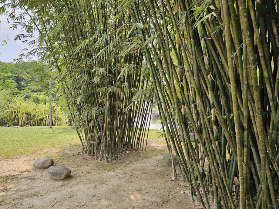 Kebun raya