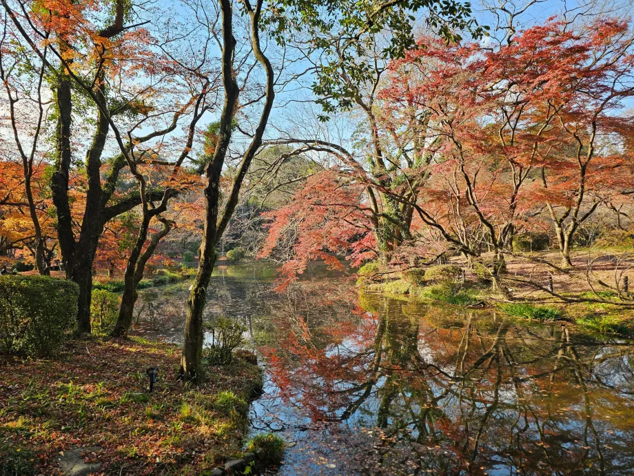 Kebun Raya Kyoto