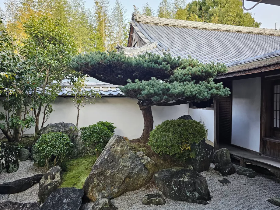 Daisen-in Zen Garden di Daitoku-ji