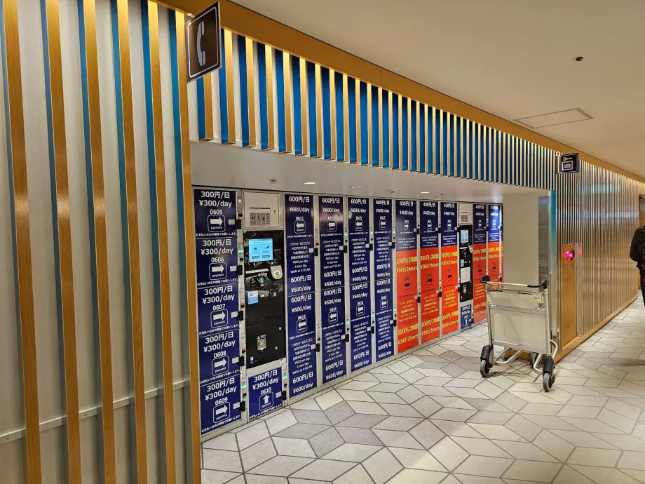 Loker untuk penyimpanan bagasi