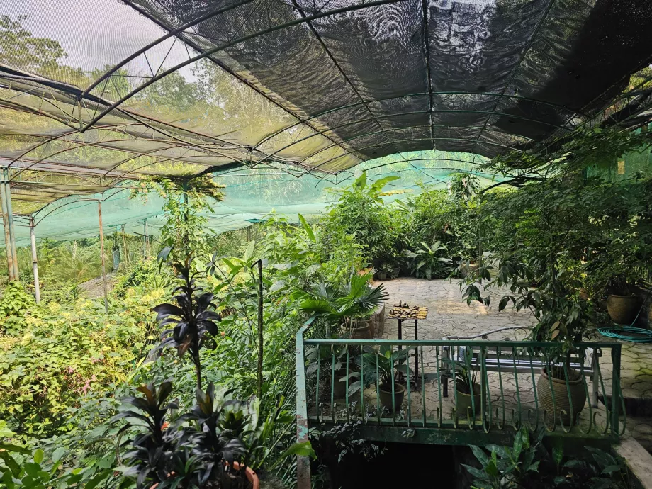 Taman Kupu-kupu