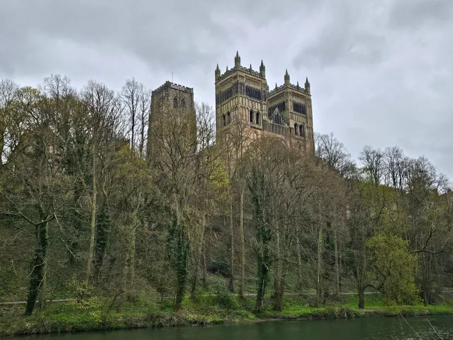 Katedral