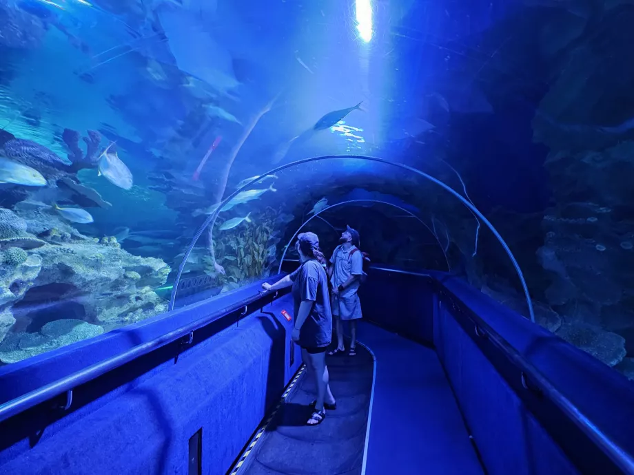 Terowongan bawah air, Aquaria
