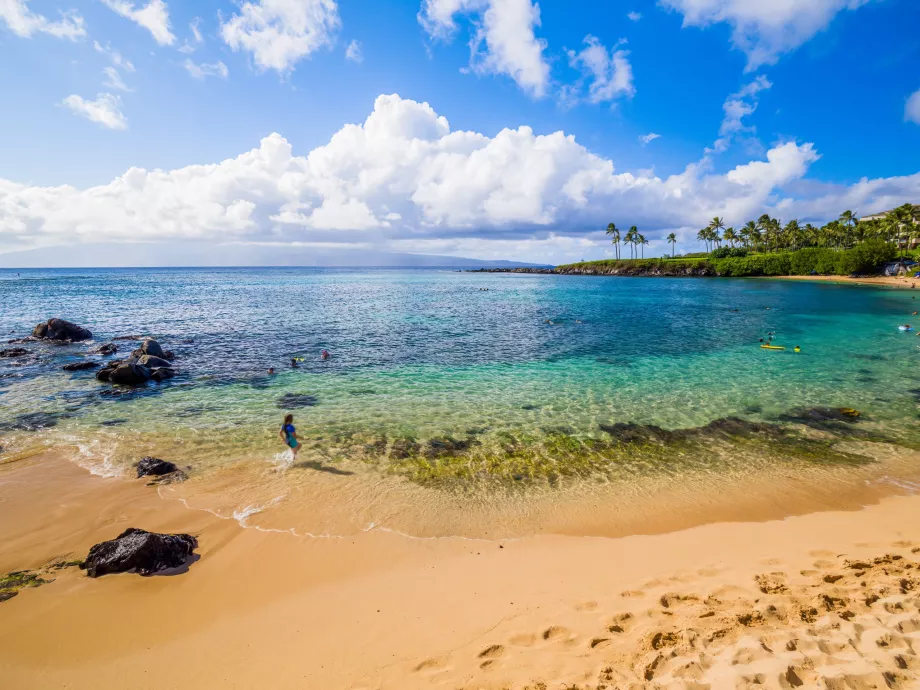 Teluk Kapalua