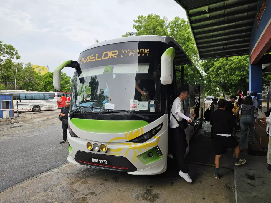 Melor Interline, pelatih
