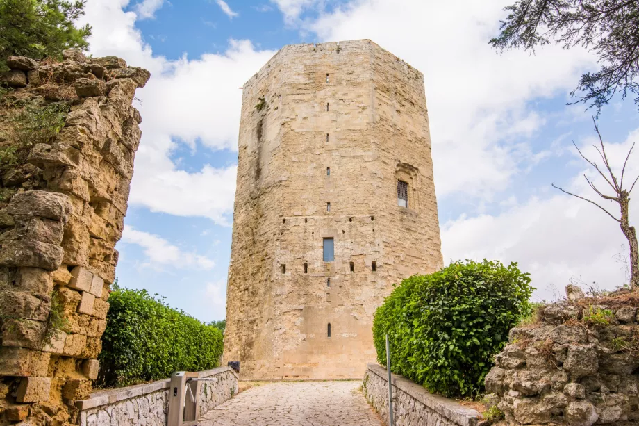 Menara Federico