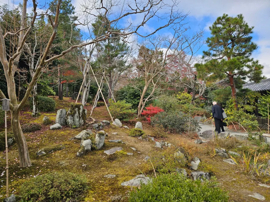 Tenryu-ji, taman