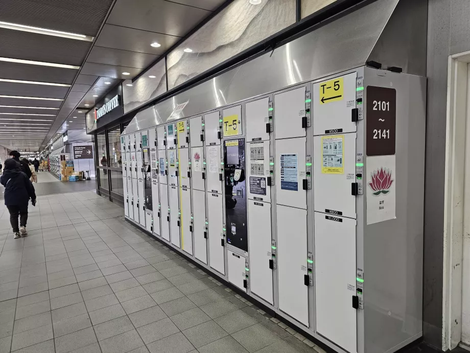 Loker untuk penyimpanan bagasi