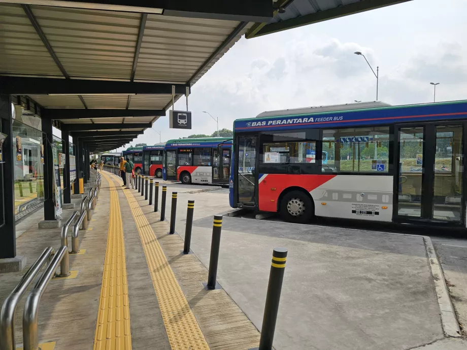 Bus kota