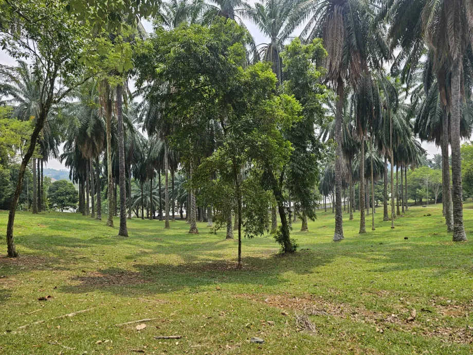 Kebun raya