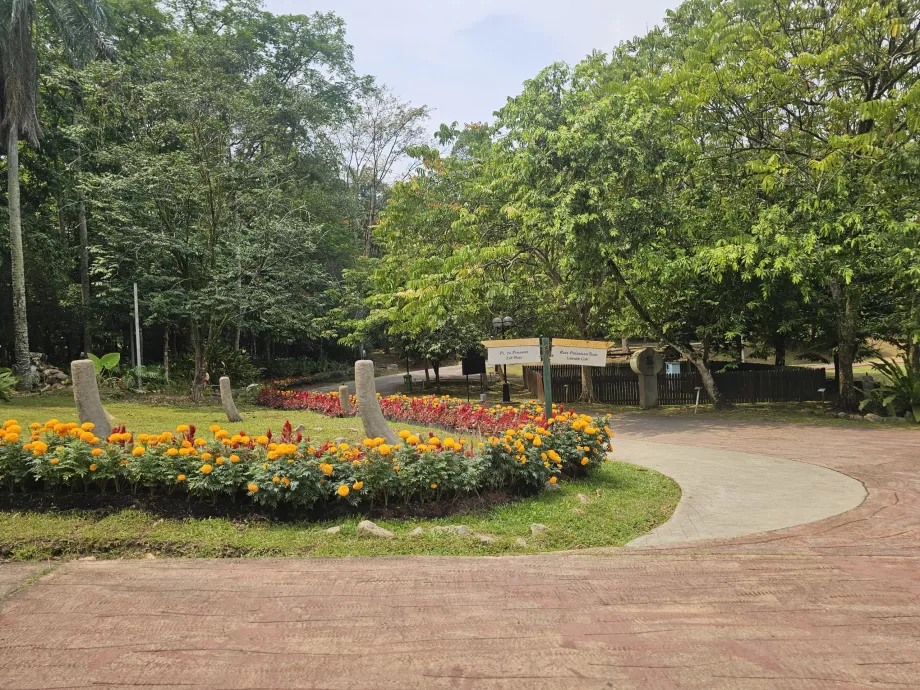 Kebun raya