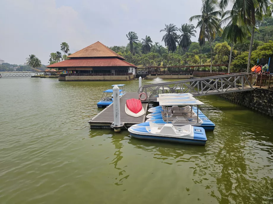 Sandal jepit di Kebun Raya