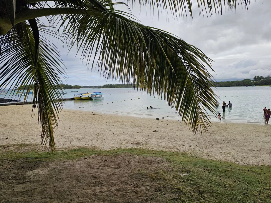 Teluk Biru