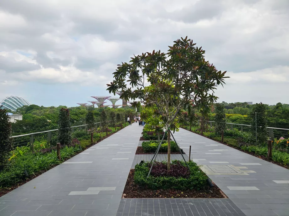 Rute berjalan kaki ke Gardens by the Bay