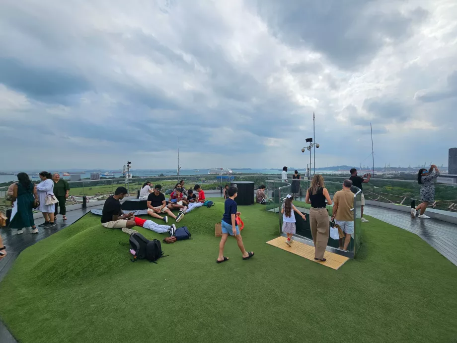 Observatorium Supertree