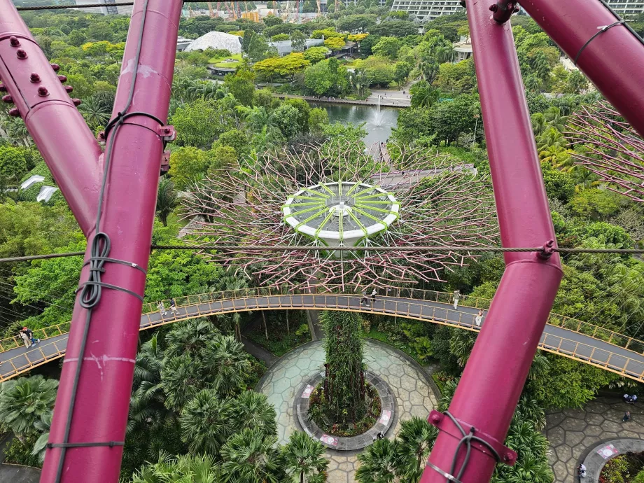 Observatorium Supertree