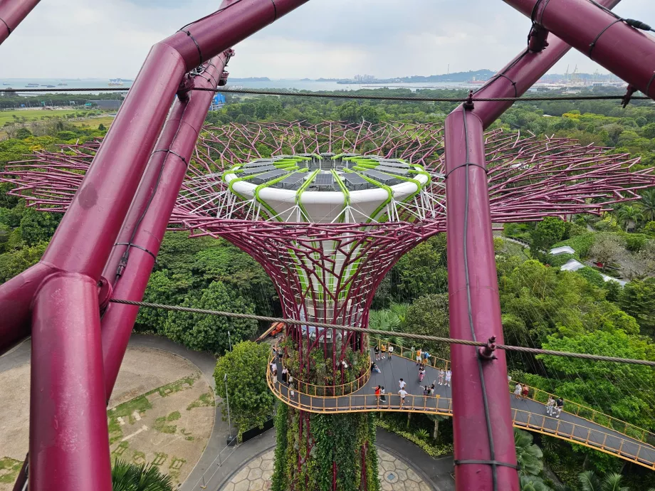 Observatorium Supertree