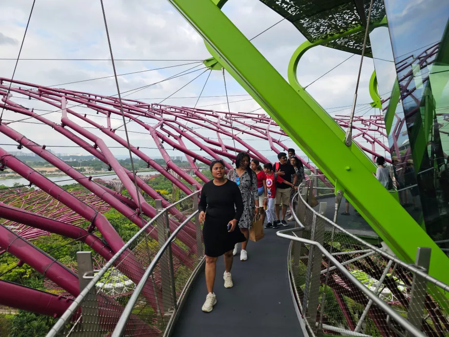 Observatorium Supertree