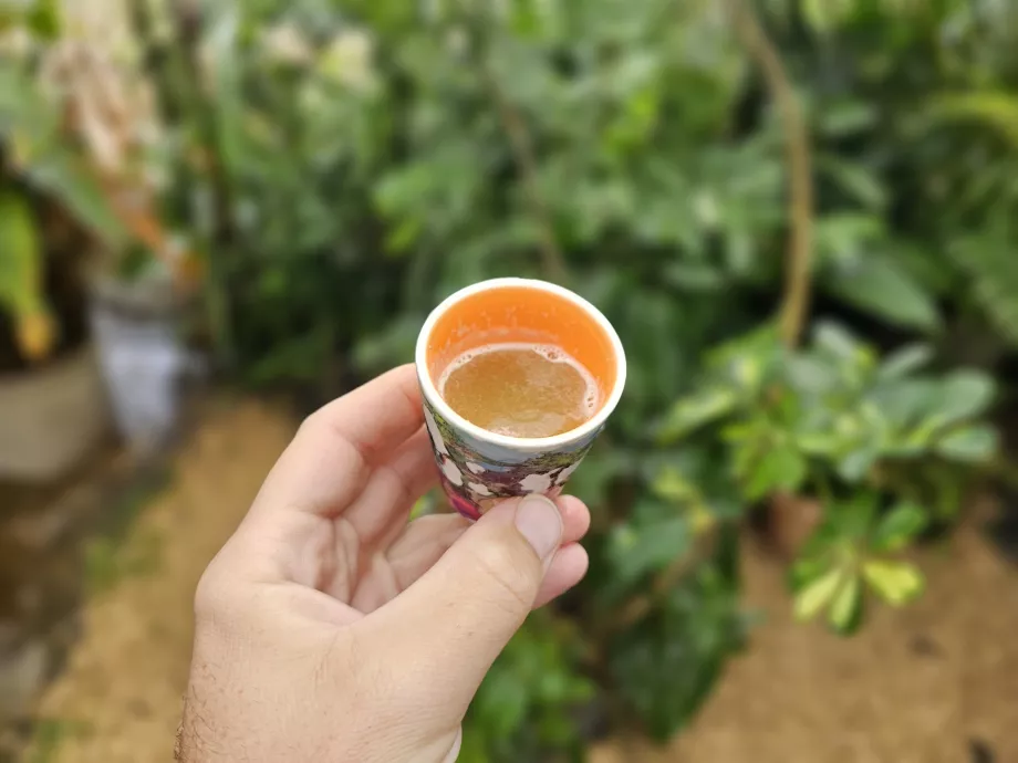 Jus tebu