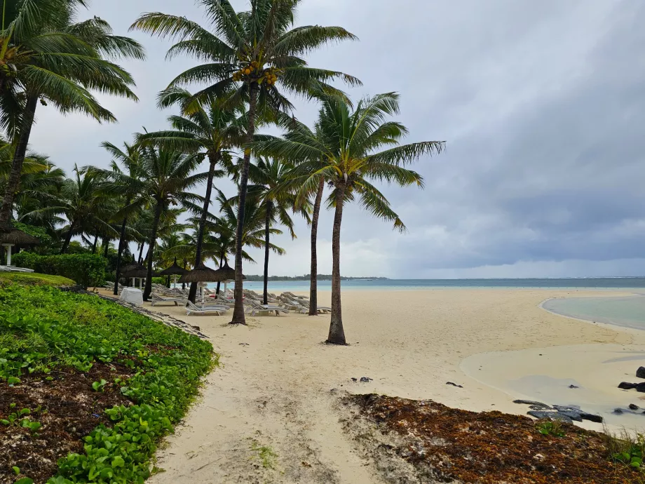Pantai Palmar