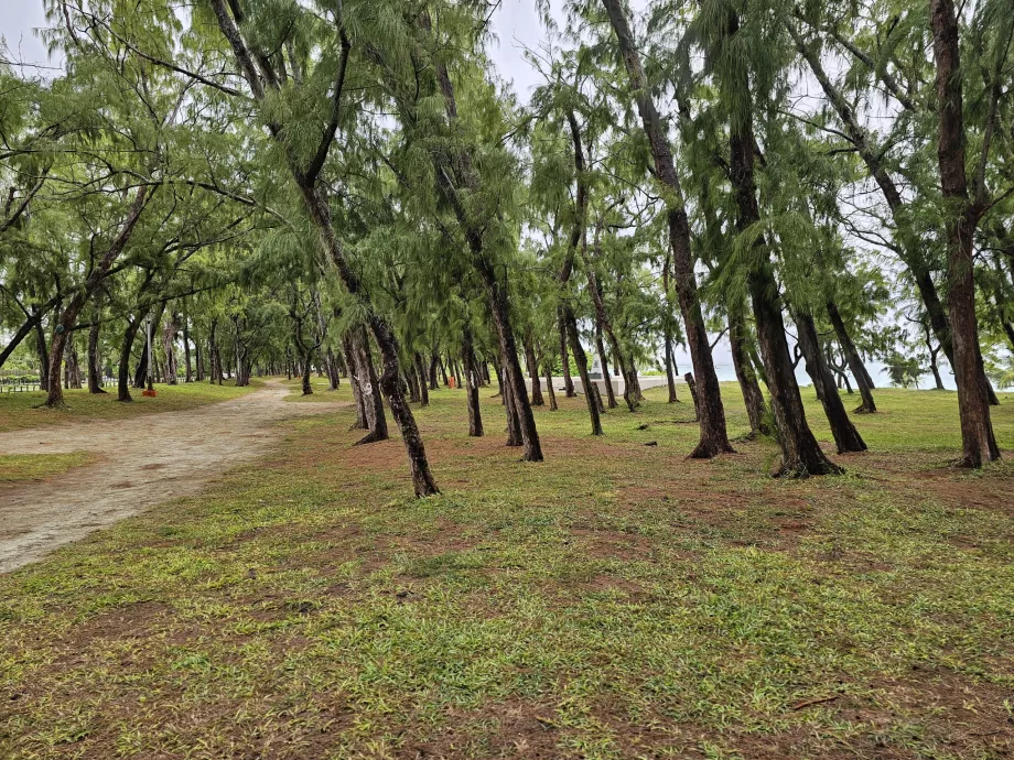 Taman di Belle Mare