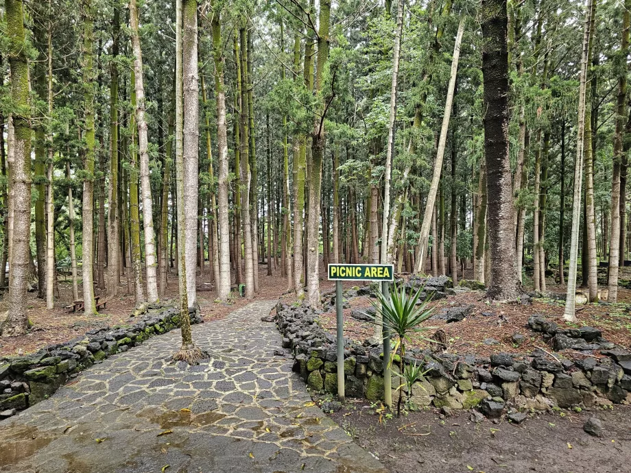Taman Nasional Bras d'Eau