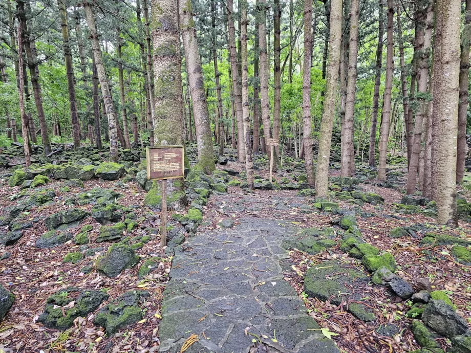 Taman Nasional Bras d'Eau, jalur pendakian