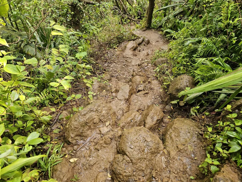 Jalur ke 7 Air Terjun