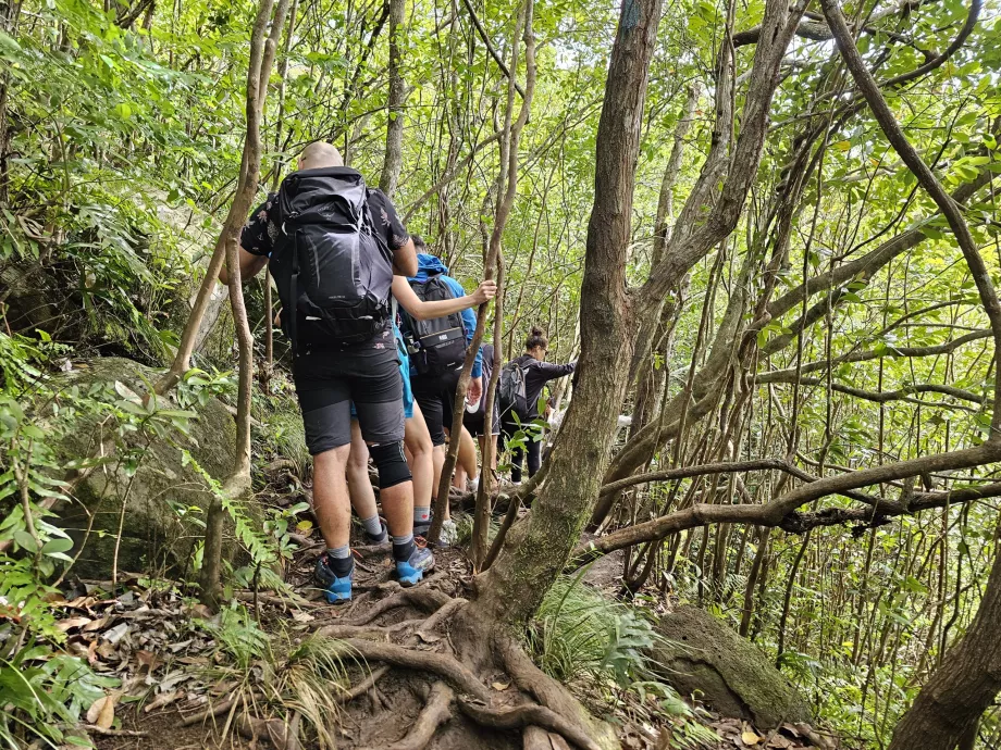 Menelusuri jalan setapak di sepanjang 7 Air Terjun